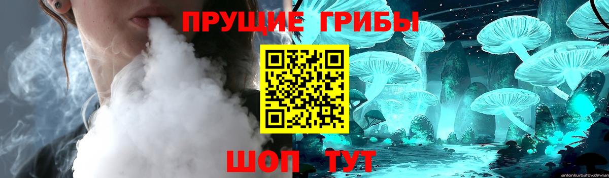 Железногорск  Галлюциногенные грибы Psilocybine cubensis  где купить наркоту  Вход с VPN  Псилоцибиновые грибы Psilocybe 